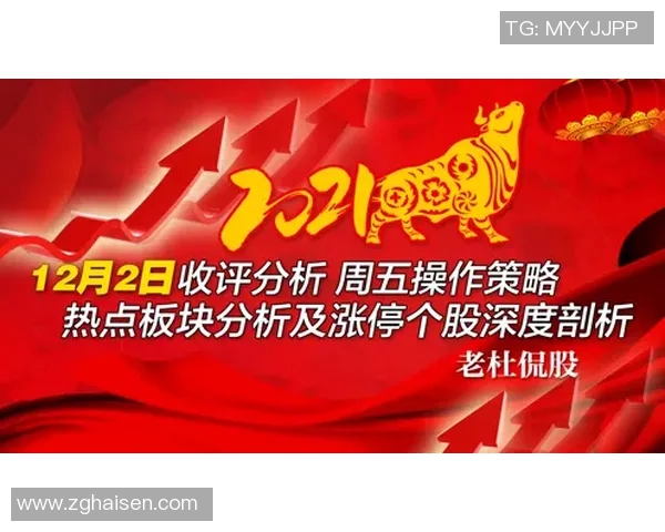 杭州乒乓球队控制策略解析与热点动态深度剖析