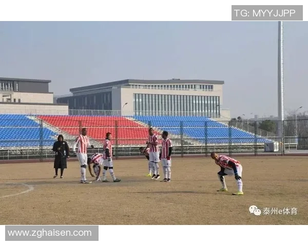 杭州足球队耐力分析与训练方法探讨助力球队提升竞技水平