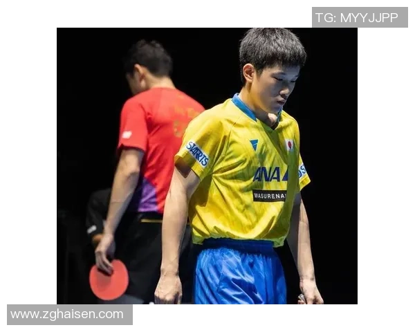 杨磊独家分享羽毛球技巧与心得助你提升球技的全面指南