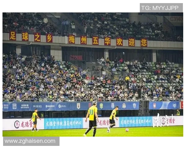 足球明星齐聚一堂全景高清合影视频尽显风采与魅力