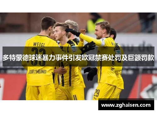 多特蒙德球迷暴力事件引发欧冠禁赛处罚及巨额罚款